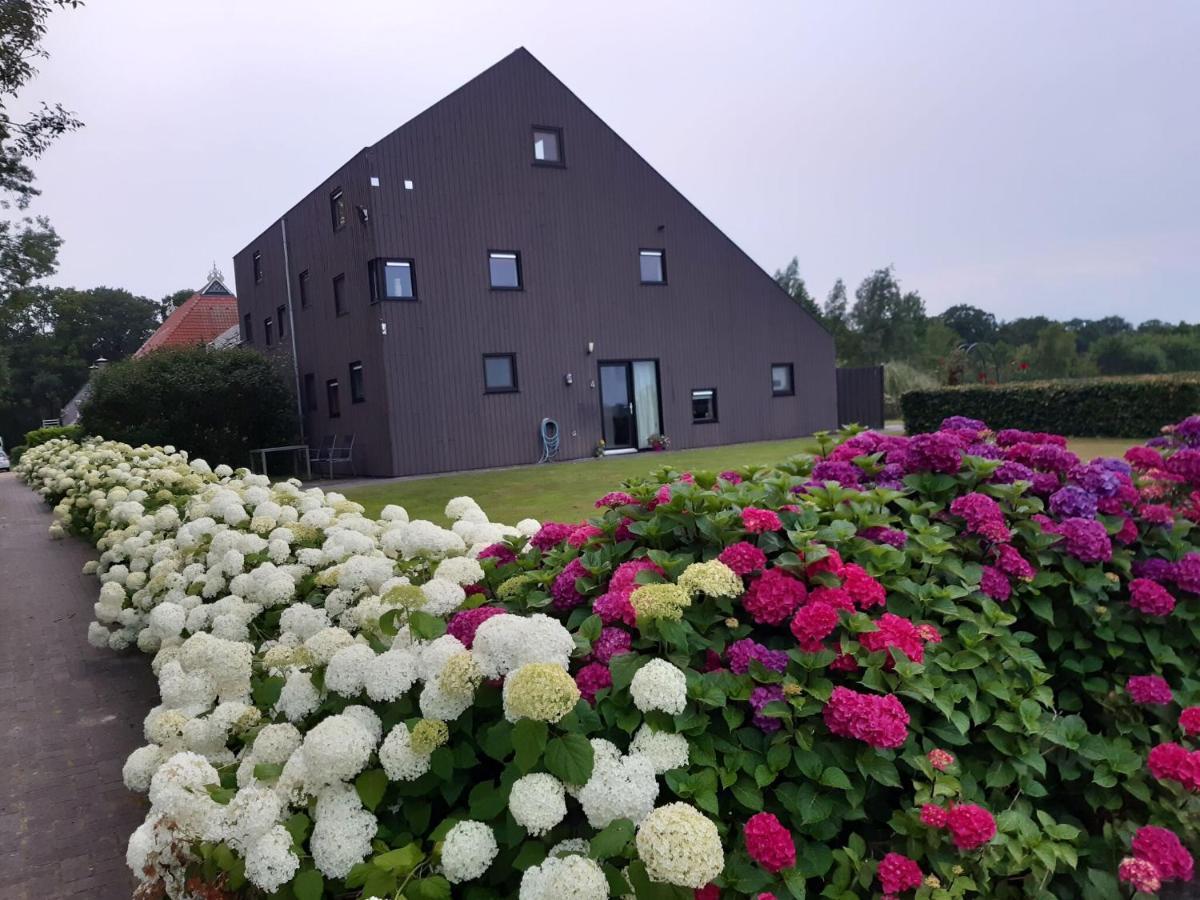 Luxury Holiday Home With Private Terrace Langweer Екстериор снимка